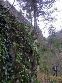 Альбом отзыва "Как, скажи, тебя зовут? И она ответила: как хочешь. Крепость"