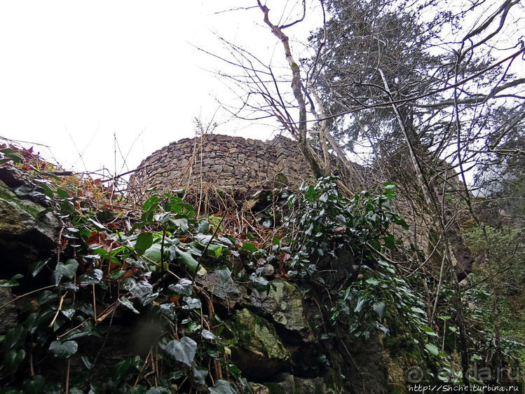 Альбом отзыва "Как, скажи, тебя зовут? И она ответила: как хочешь. Крепость"