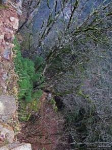 Альбом отзыва "Как, скажи, тебя зовут? И она ответила: как хочешь. Крепость"