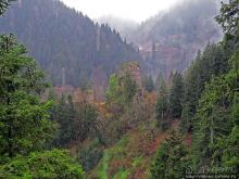 Альбом отзыва "Как, скажи, тебя зовут? И она ответила: как хочешь. Крепость"