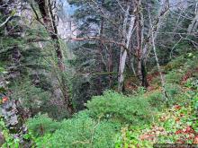 Альбом отзыва "Как, скажи, тебя зовут? И она ответила: как хочешь. Крепость"