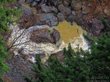 Альбом отзыва "Как, скажи, тебя зовут? И она ответила: как хочешь. Крепость"