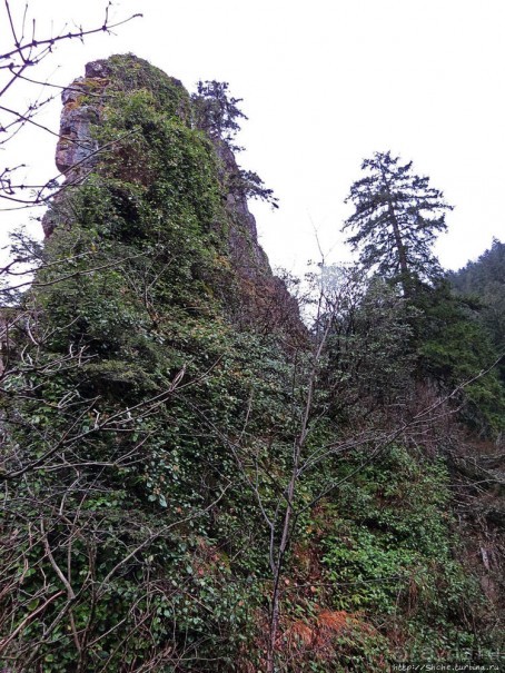 Альбом отзыва "Как, скажи, тебя зовут? И она ответила: как хочешь. Крепость"