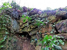 Альбом отзыва "Как, скажи, тебя зовут? И она ответила: как хочешь. Крепость"