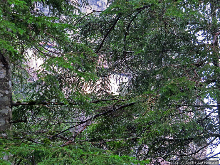 Альбом отзыва "Как, скажи, тебя зовут? И она ответила: как хочешь. Крепость"