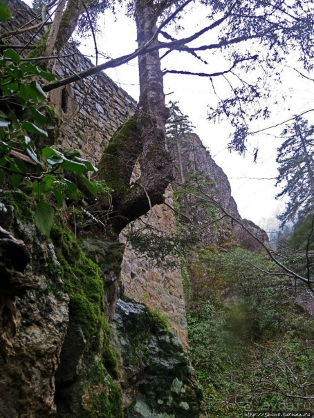 Как, скажи, тебя зовут? И она ответила: как хочешь. Крепость