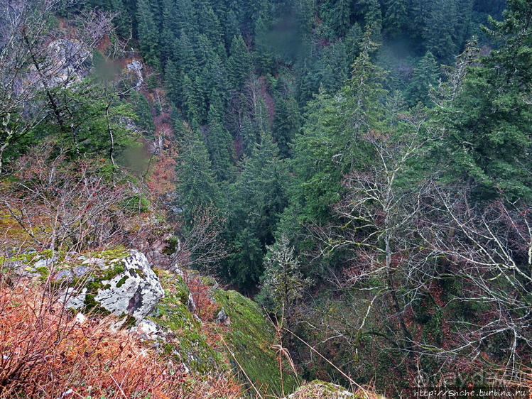 Как, скажи, тебя зовут? И она ответила: как хочешь. Крепость