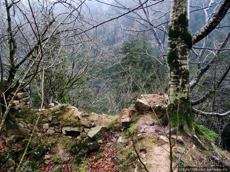 Как, скажи, тебя зовут? И она ответила: как хочешь. Крепость