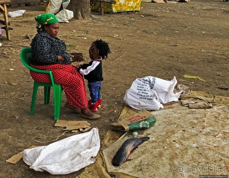 Марабу и рыбаки