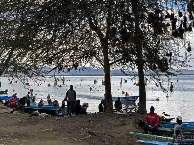 Марабу и рыбаки