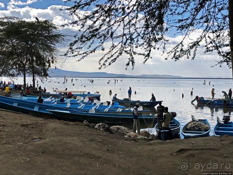 Марабу и рыбаки