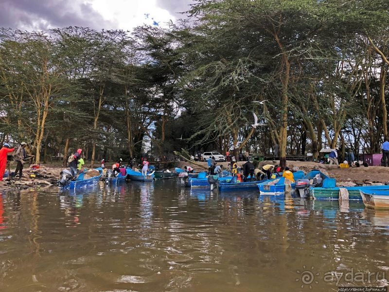 Марабу и рыбаки