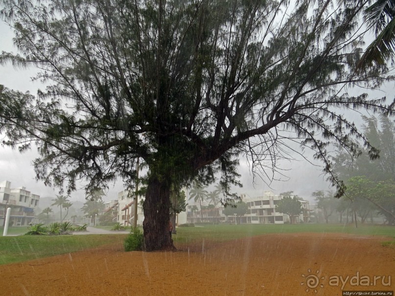 Типа пляжный отдых в Пуэрто-Рико — 1,5 купаний за неделю