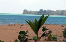 Типа пляжный отдых в Пуэрто-Рико — 1,5 купаний за неделю