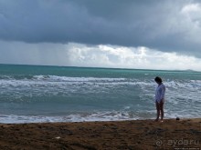 Типа пляжный отдых в Пуэрто-Рико — 1,5 купаний за неделю