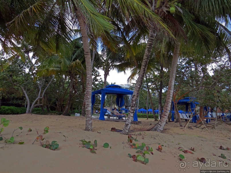 Типа пляжный отдых в Пуэрто-Рико — 1,5 купаний за неделю