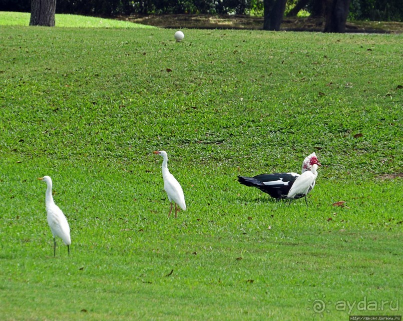 фото Лукильо