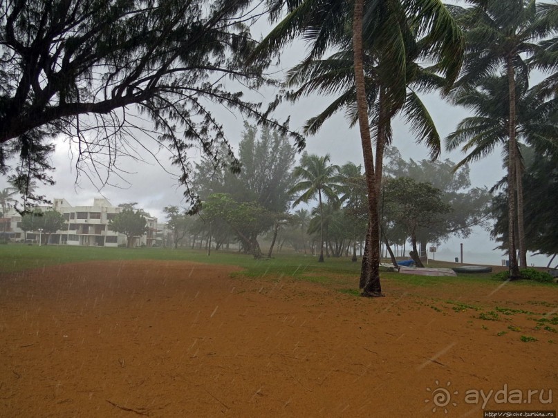 Типа пляжный отдых в Пуэрто-Рико — 1,5 купаний за неделю