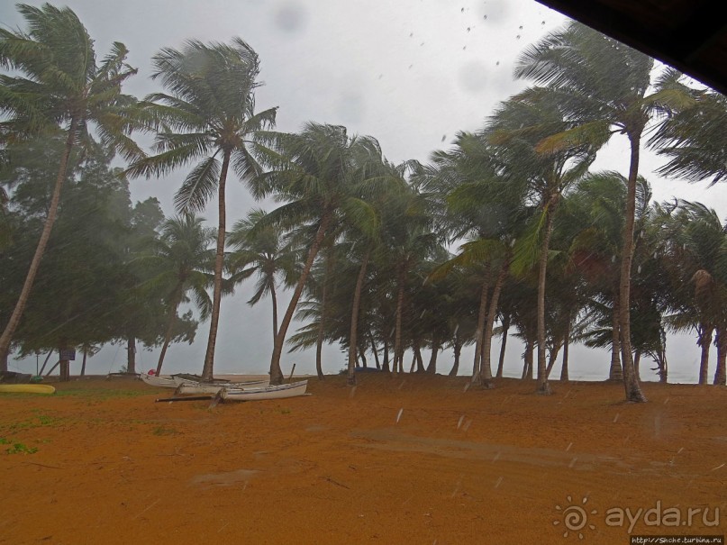 Типа пляжный отдых в Пуэрто-Рико — 1,5 купаний за неделю