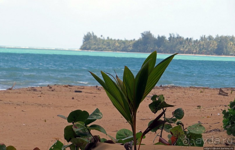 фото Лукильо