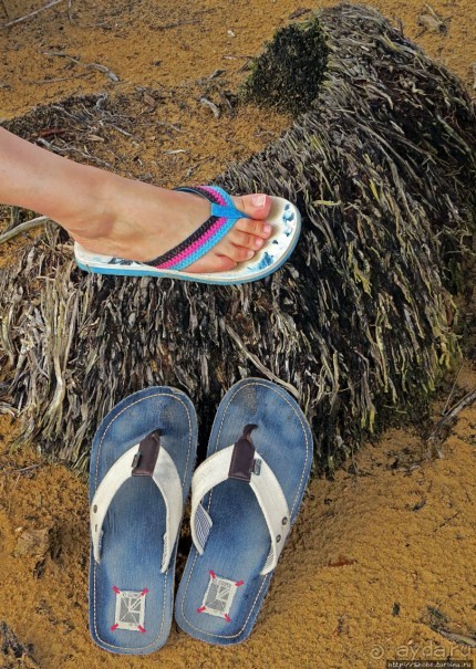 Альбом отзыва "Типа пляжный отдых в Пуэрто-Рико — 1,5 купаний за неделю"