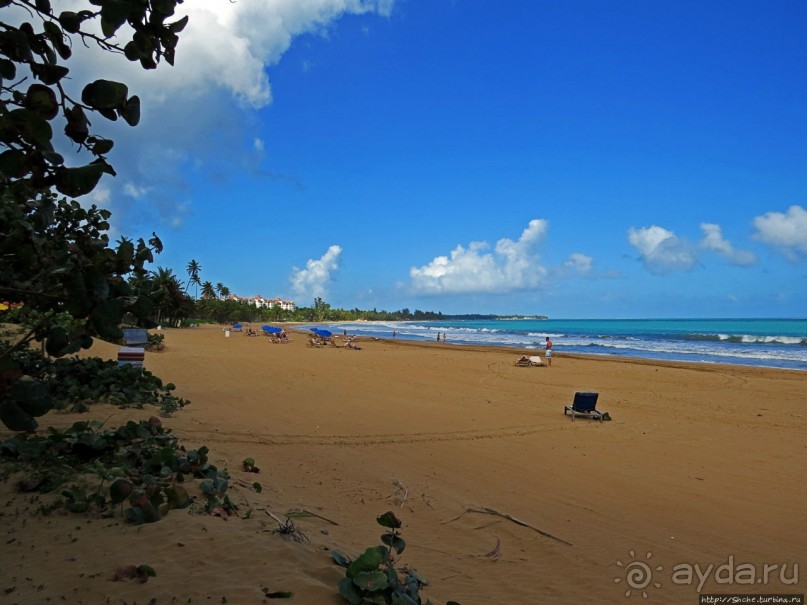 Типа пляжный отдых в Пуэрто-Рико — 1,5 купаний за неделю