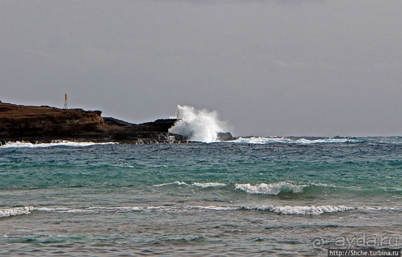 "Бьют волны, а мне прикольно..." Ханаума-Бей