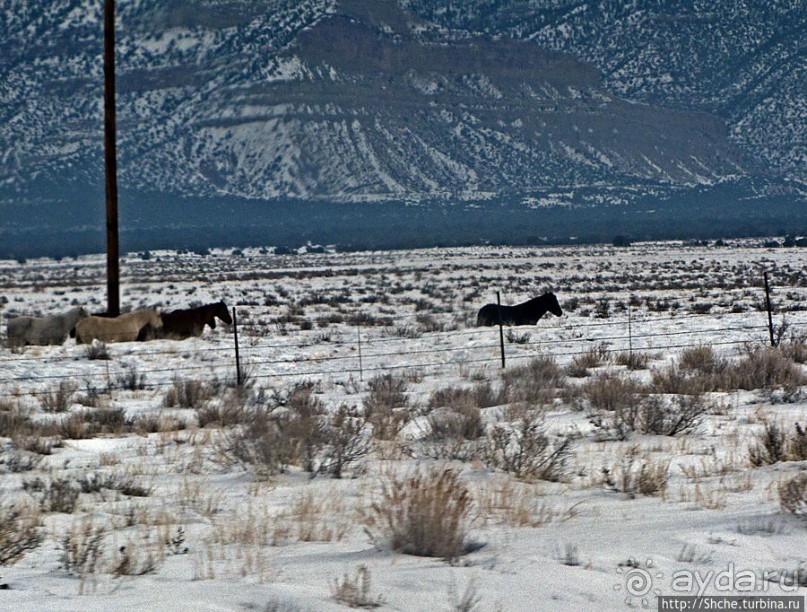 Суровые пейзажи северовосточной Юты. Зимой по штату на авто