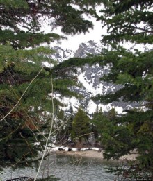 Jenny Lake в мае - лед и лоси на берегу