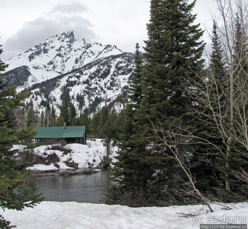 Jenny Lake в мае - лед и лоси на берегу