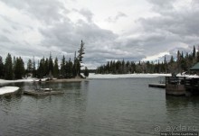 Jenny Lake в мае - лед и лоси на берегу