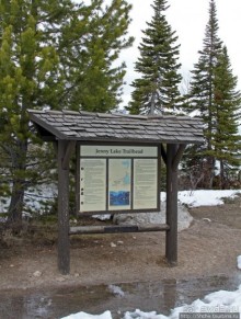 Jenny Lake в мае - лед и лоси на берегу