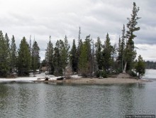 Jenny Lake в мае - лед и лоси на берегу