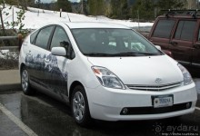 Jenny Lake в мае - лед и лоси на берегу