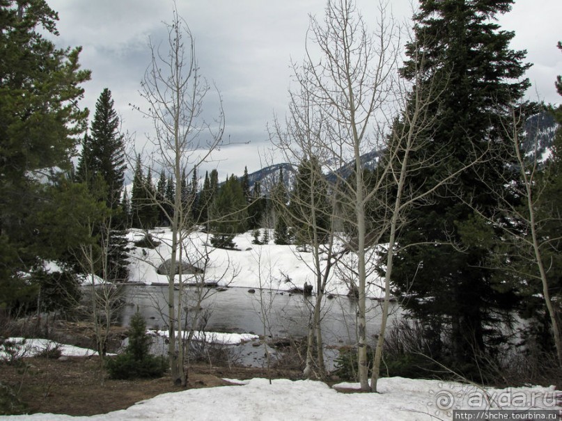 Jenny Lake в мае - лед и лоси на берегу
