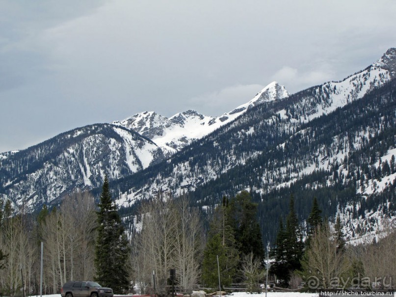 Jenny Lake в мае - лед и лоси на берегу
