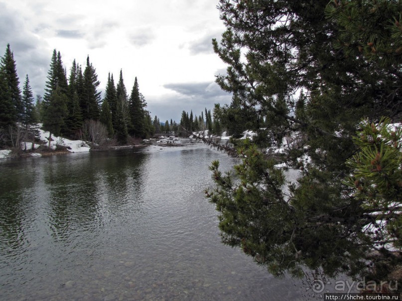 Jenny Lake в мае - лед и лоси на берегу