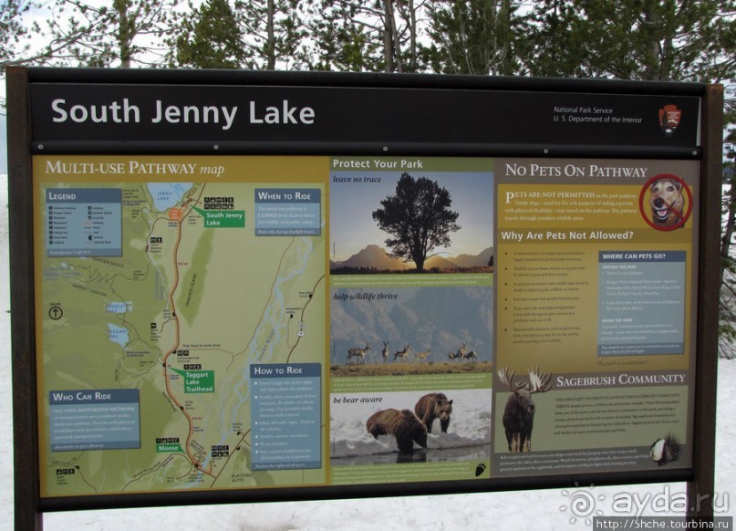 Jenny Lake в мае - лед и лоси на берегу