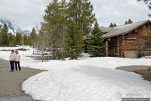 Jenny Lake в мае - лед и лоси на берегу