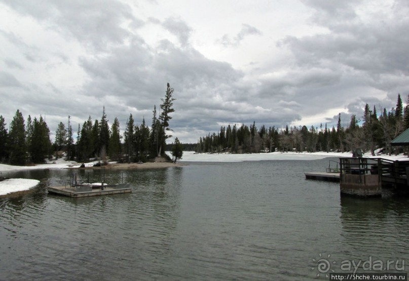 Jenny Lake в мае - лед и лоси на берегу