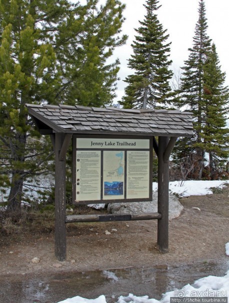 Jenny Lake в мае - лед и лоси на берегу