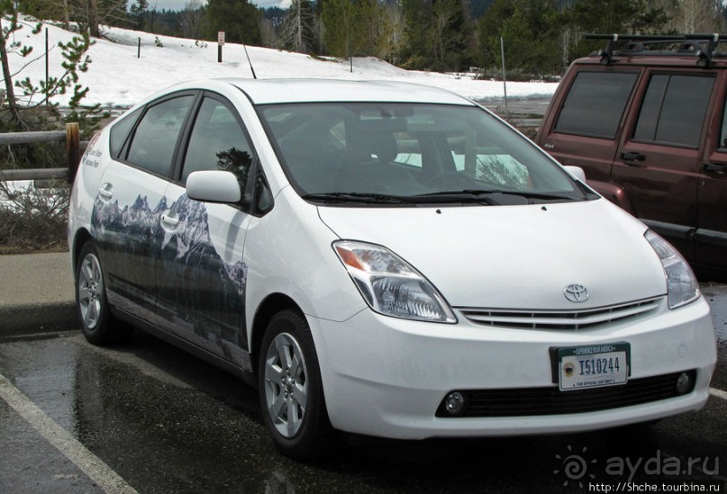 Jenny Lake в мае - лед и лоси на берегу