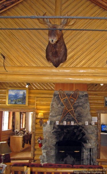 Jenny Lake в мае - лед и лоси на берегу