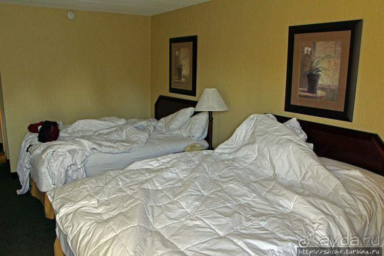 Наш выбор: отель в Шарлоттауне известной сети