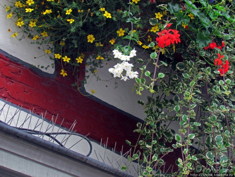 Санкт-Галлен - впечатления о городе... небольшие детали