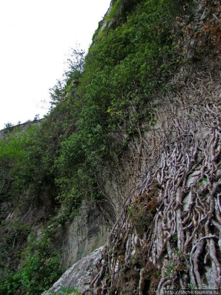 Поднимемся на цитадель (La Citadelle) Безансона
