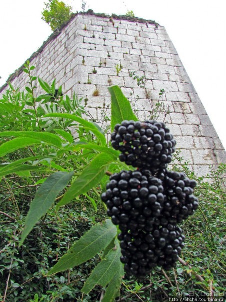Поднимемся на цитадель (La Citadelle) Безансона
