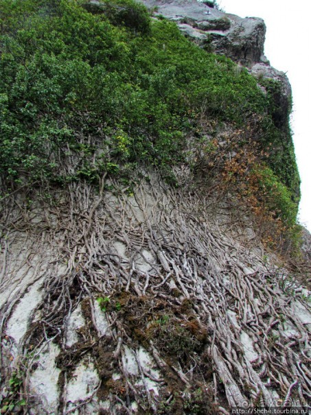 Поднимемся на цитадель (La Citadelle) Безансона