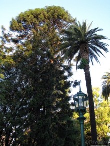 Чтобы не сбились мы с пути, горят ночные фонари