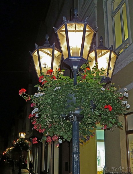 Чтобы не сбились мы с пути, горят ночные фонари